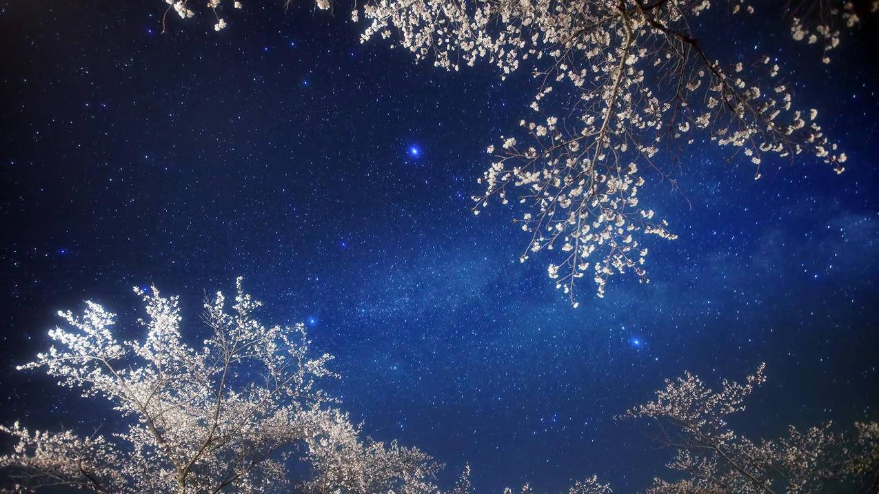 网红商城